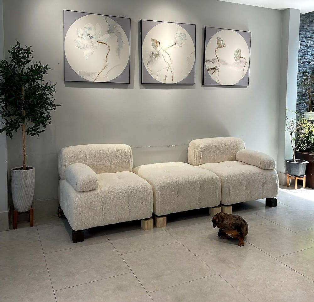 Sofa múi
