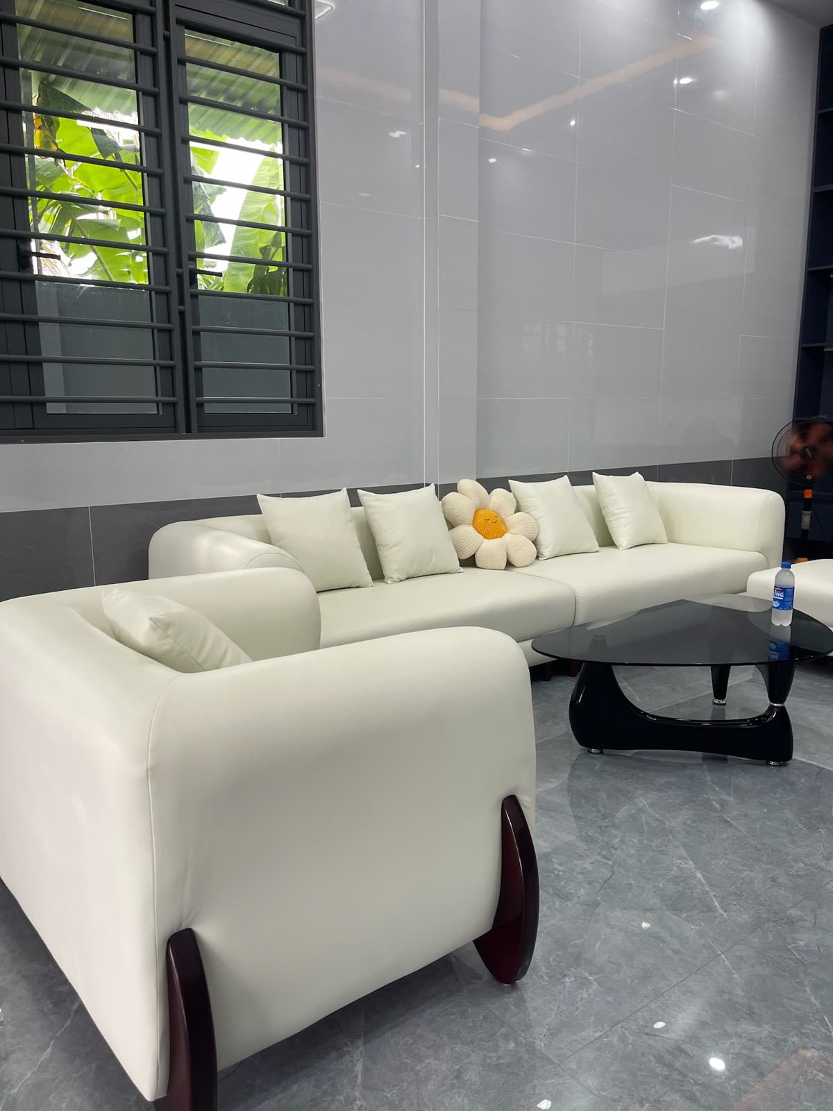 Trắng kem rộng mở